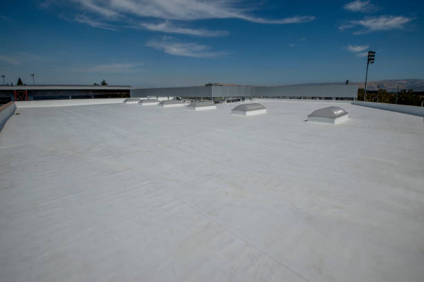 Best Green or Eco-Friendly Roofing Solutions  in Eagle Lake, WI