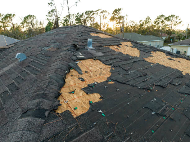 Best Solar Panel Roofing Installation  in Eagle Lake, WI