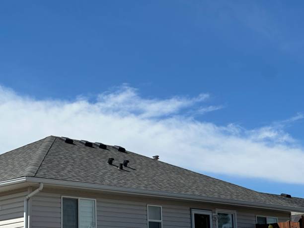 Roof Insulation in Eagle Lake, WI